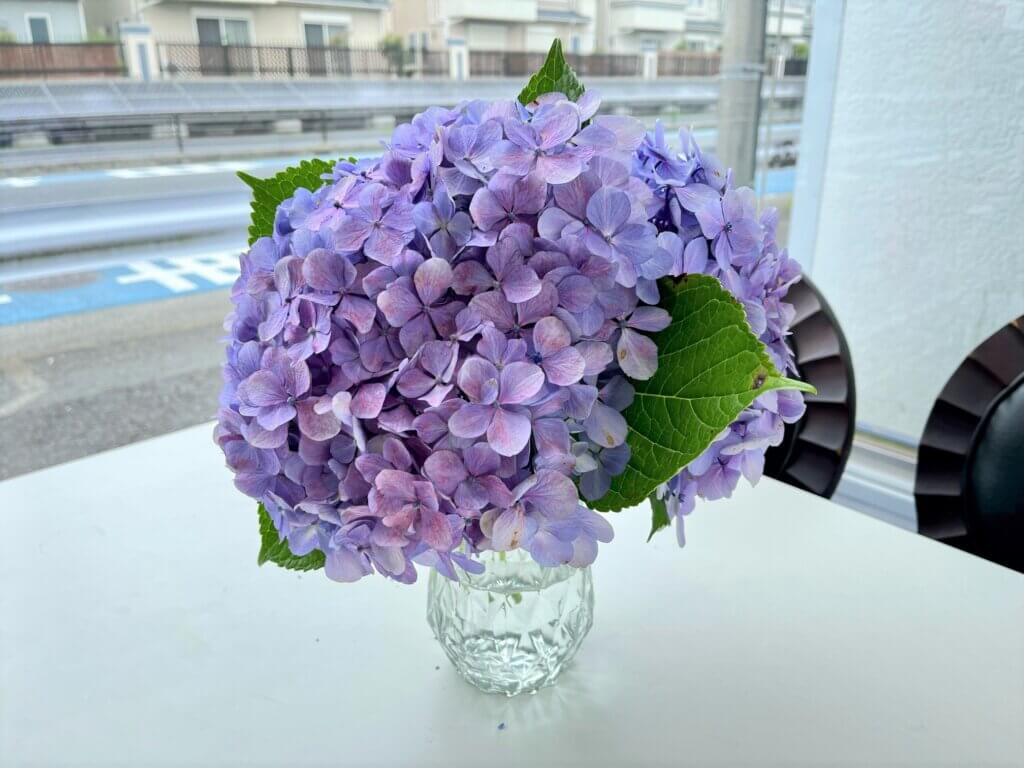 【コラム】応接ブースに鮮やかな紫陽花が飾られています
